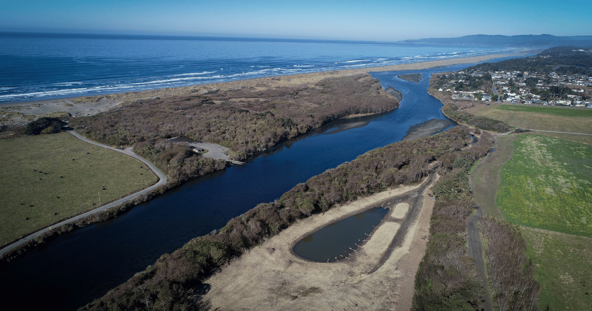 Volunteer with CalTrout at the Lhiwetgut site along the Baduwat [Video]