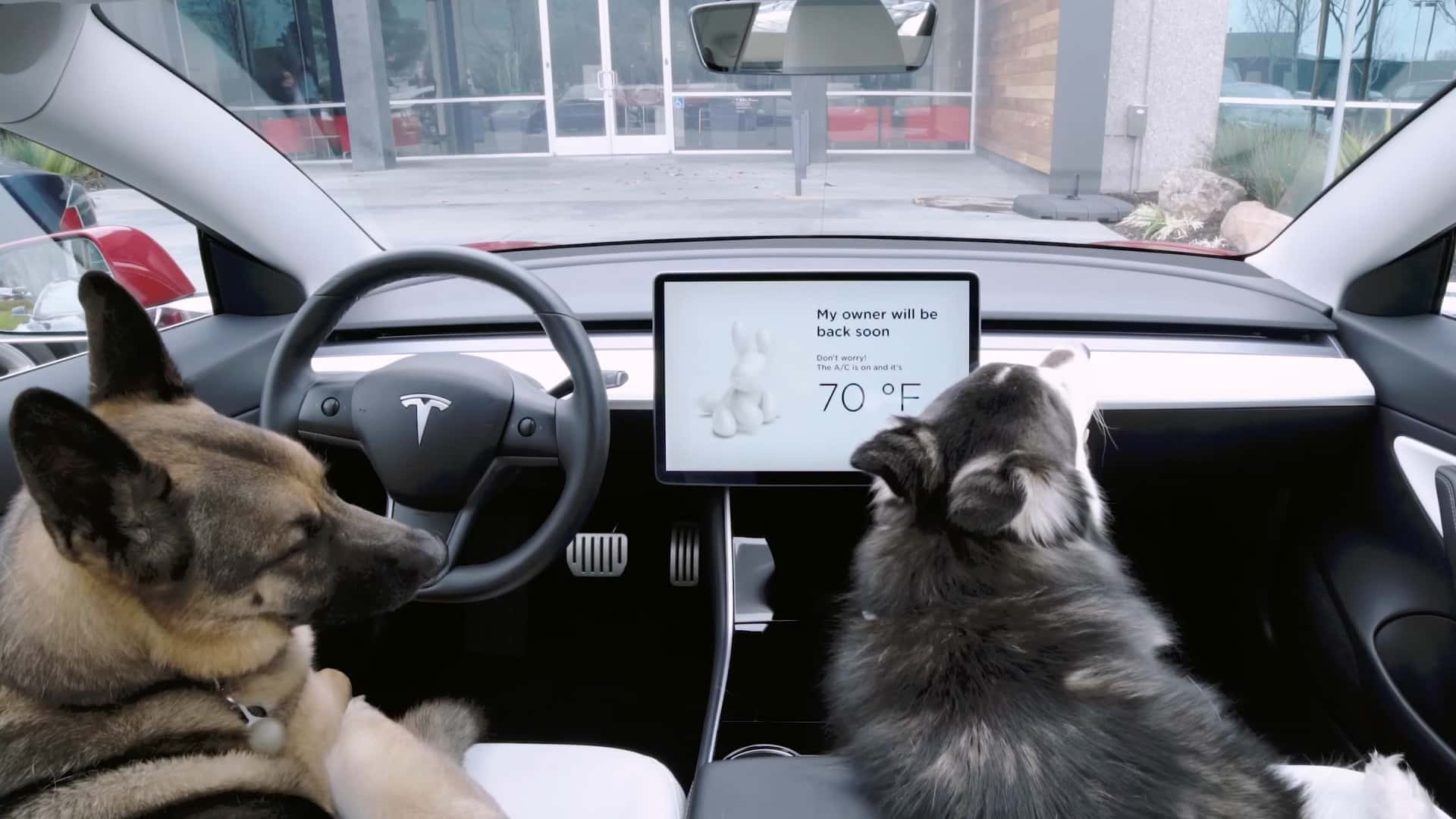 Some Tesla Owners Report Malfunctioning Dog Mode In New Update [Video]