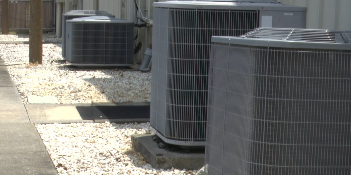 Energy efficient habits that will save you money this summer [Video]