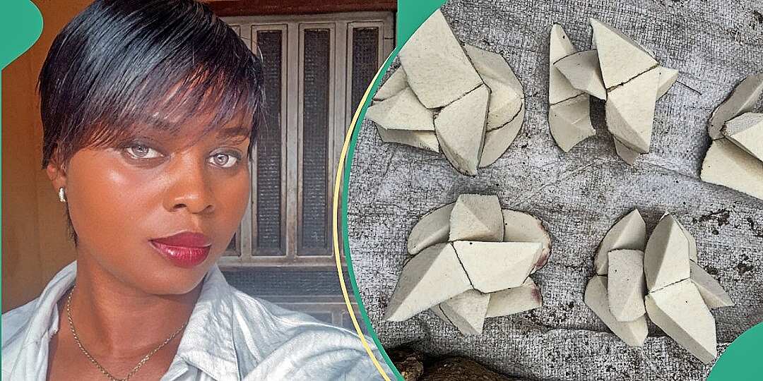 Lady Cries Out after Seeing Yams Sliced into Portions and Sold for N500 Each at Market, Photo Trends [Video]