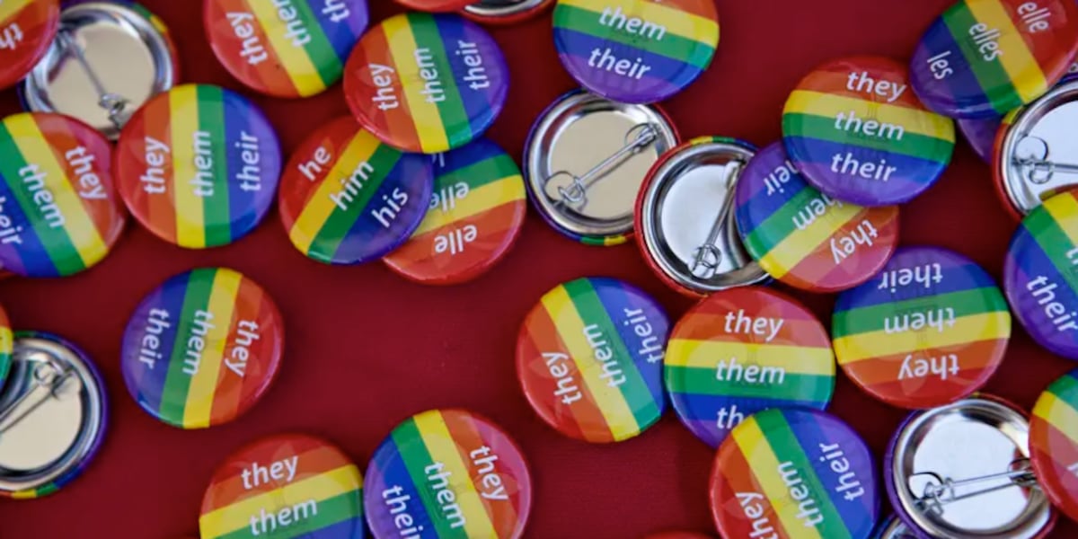 WF Diversity Coalition to hold Pride in the Park [Video]