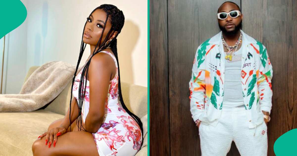 Davido Stopped Paying Imades Fees After I Stopped Sleeping With Him in 2022: Sophia Momodu Spills [Video]