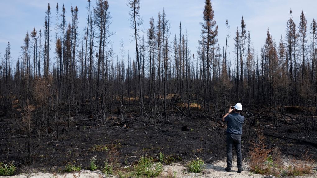 Port-Cartier, Que. officials say forest fire situation unchanged after evacuations [Video]