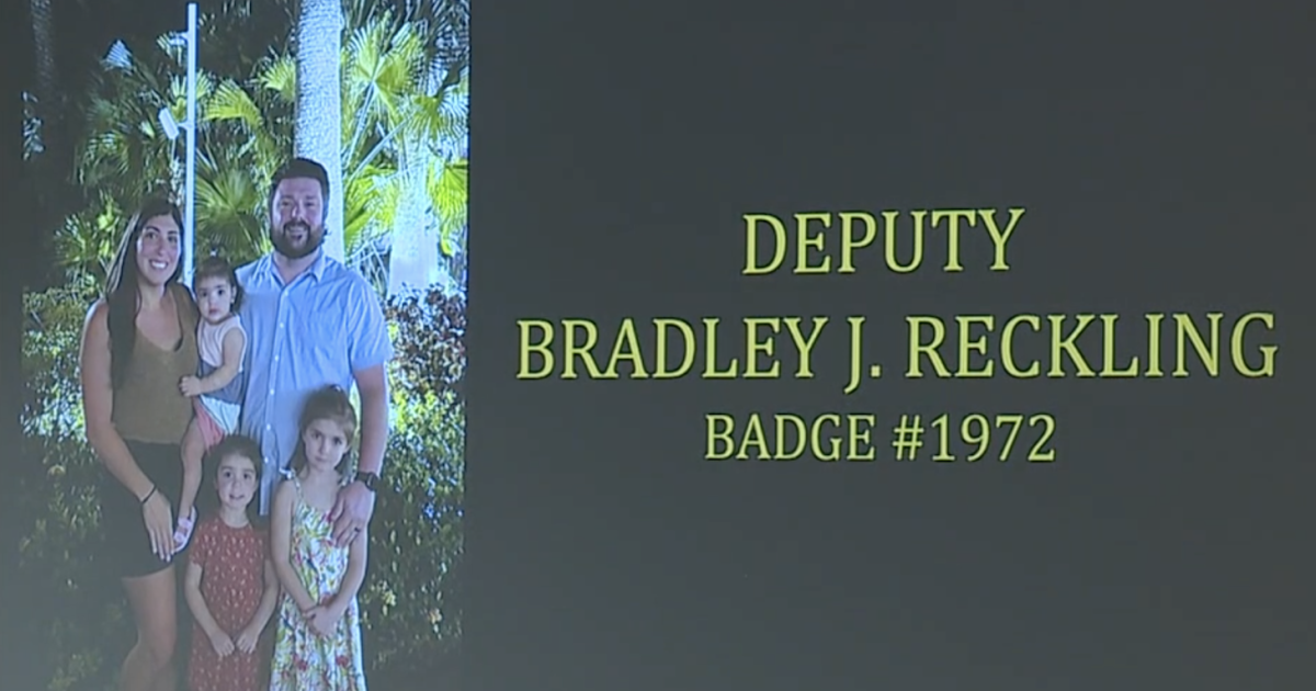 Oakland County deputy killed in line of duty during stolen vehicle investigation [Video]