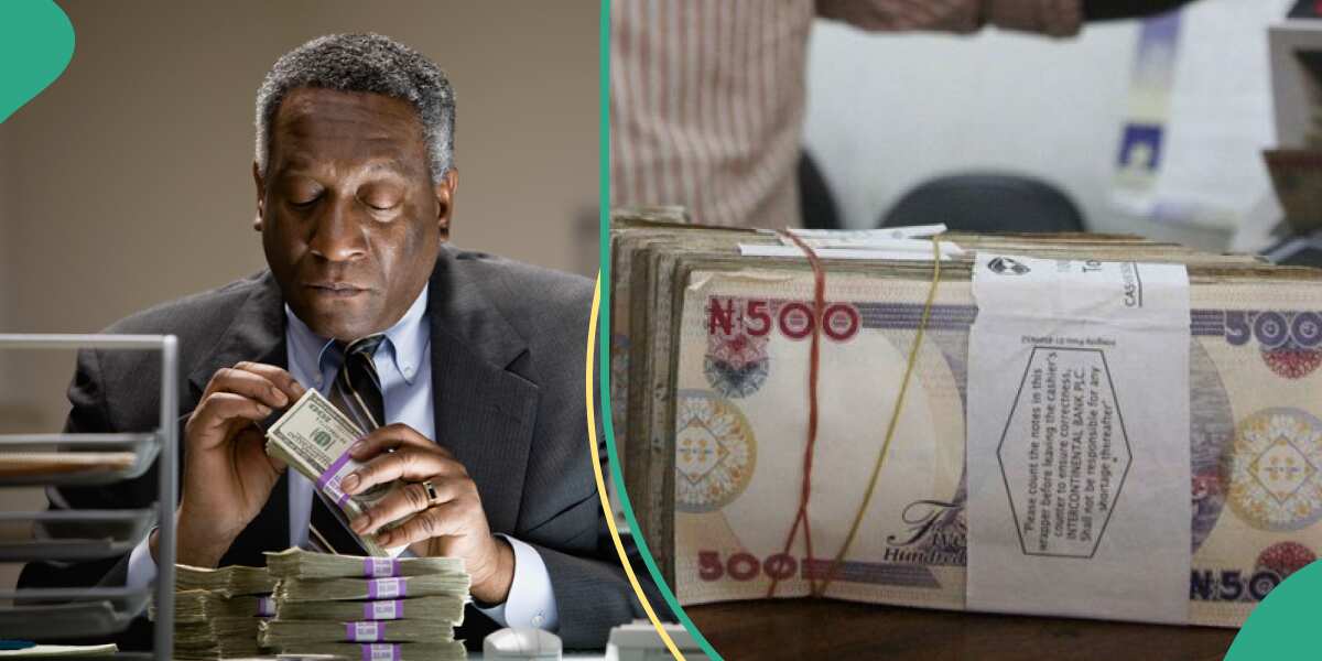 This Stability is Expected to Be Temporary: Experts speaks as Naira finally finds balance [Video]