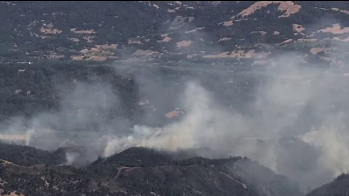 Point Fire in Sonoma County remains 85% contained; holding at 1,207 acres  NBC Bay Area [Video]