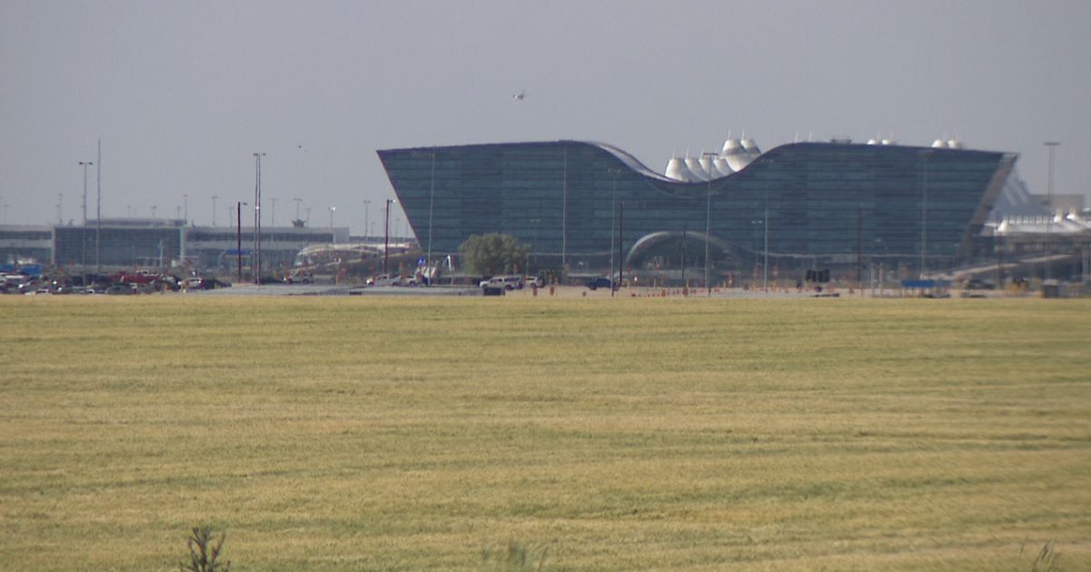 Eight partners looking to attract businesses surrounding DIA [Video]