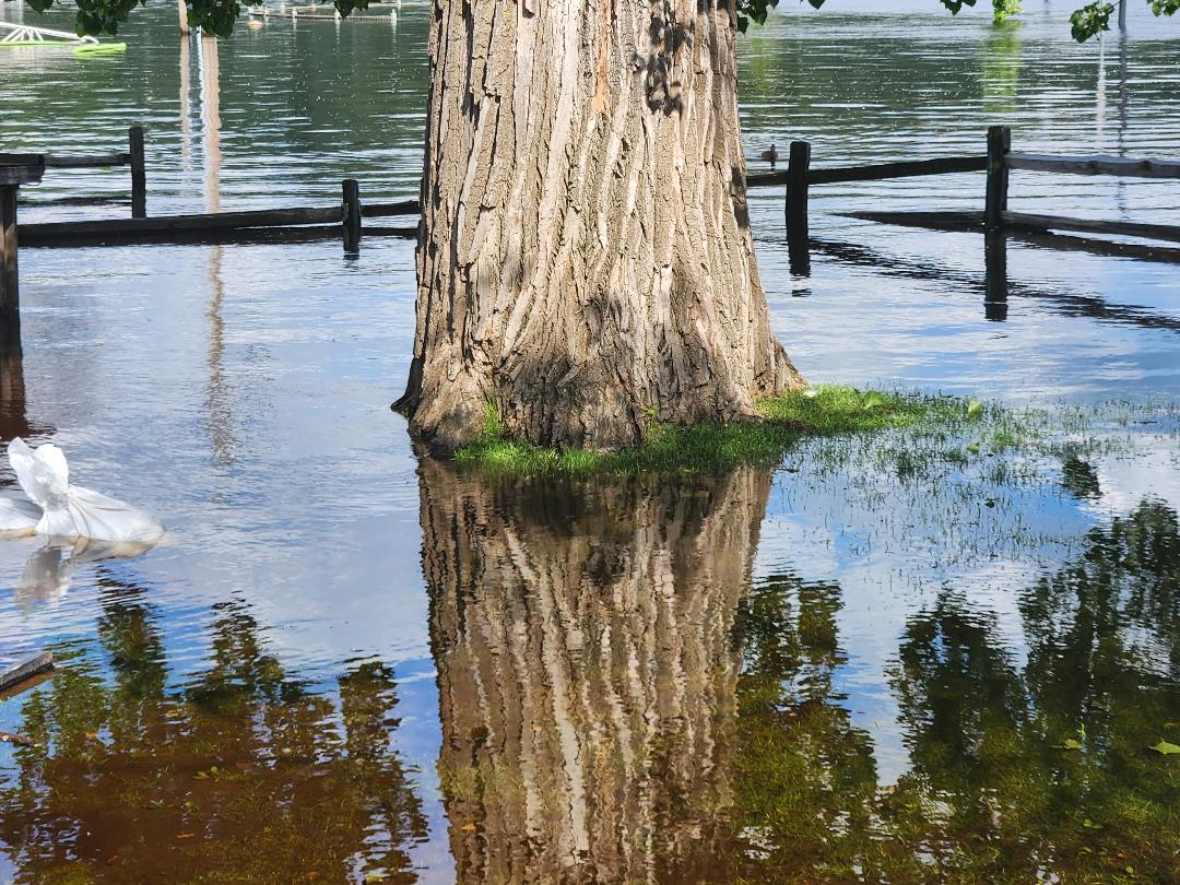 Governor calls out National Guard to help in flood response [Video]