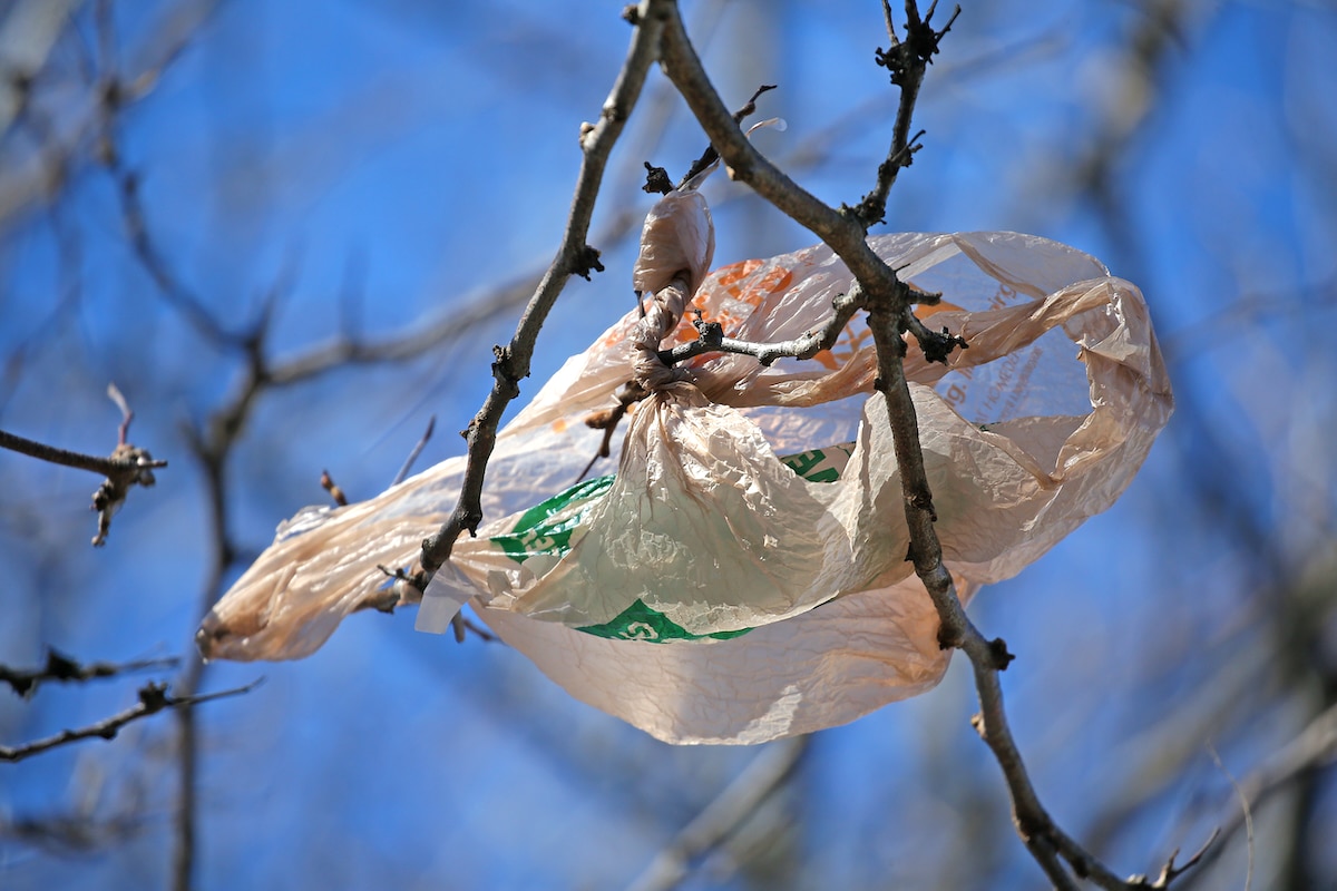 Massachusetts State Senate Passes Plastics Ban [Video]