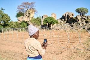 Hikes, nosy neighbours afflict Zimbabweans in quest for mobile connection [Video]