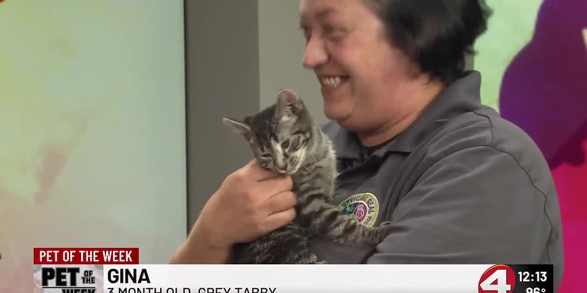 Pet of the Week: Gentle Gina [Video]