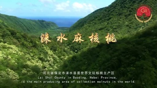 Laishui Ma-Walnut — Small Walnuts, Big Industry [Video]