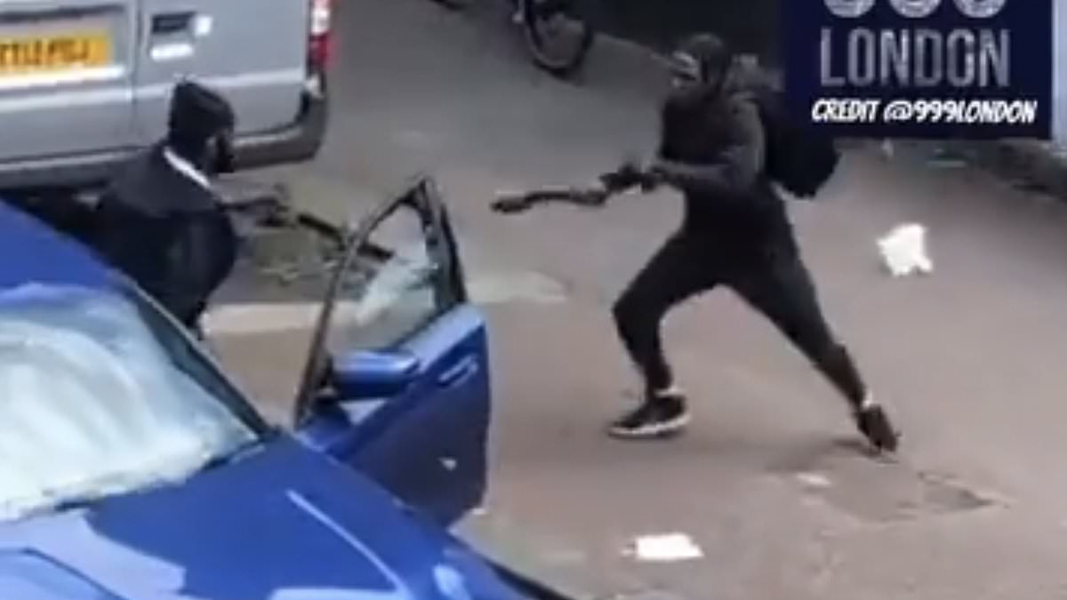 Shocking moment thugs armed with Rambo knives fight in the middle of the day on residential London street [Video]