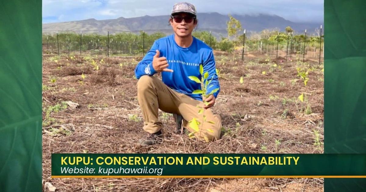 Kupu announces nearly 40 open positions | Island Life Live [Video]