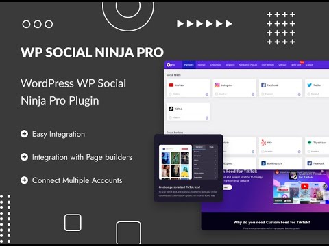 WP Social Ninja Pro: Mastering Social Media for WordPress [Video]