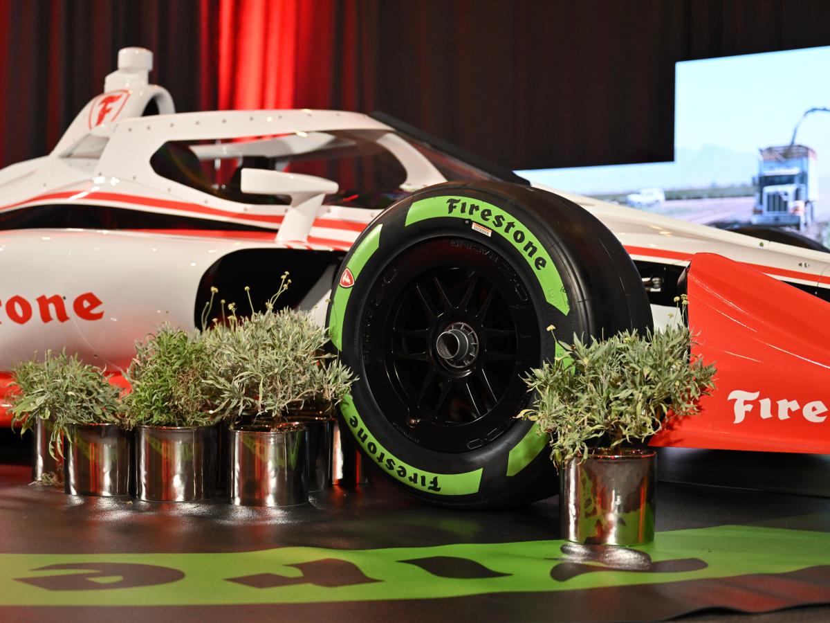 A small shrub used to make IndyCar racing tires could help save rainforests and make deserts greener [Video]