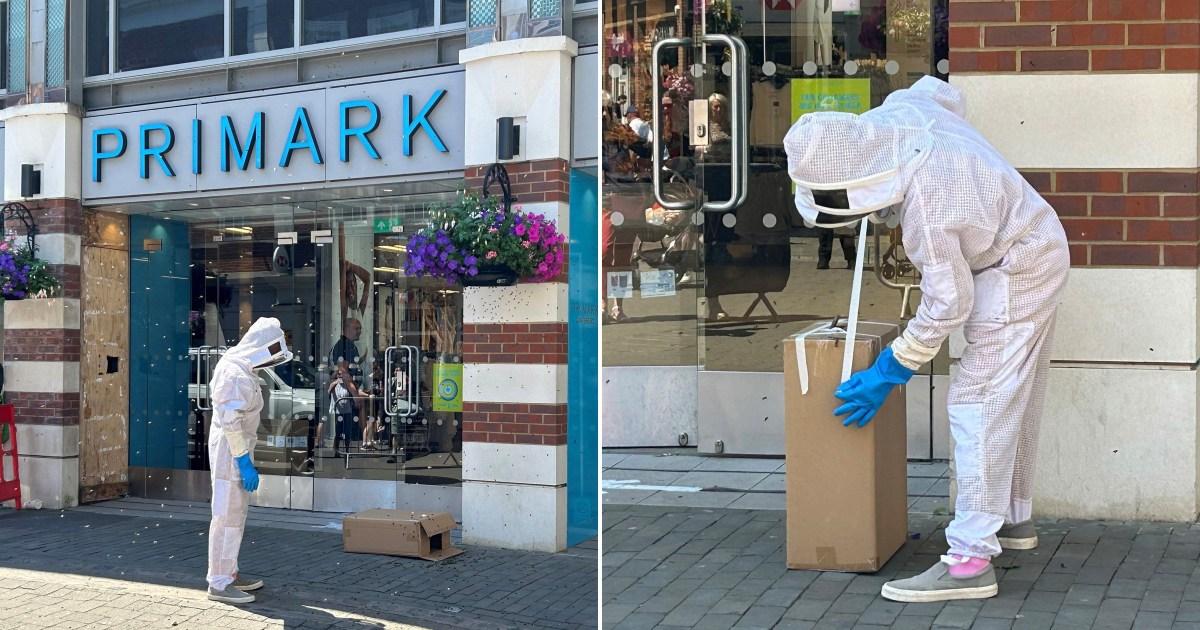 Shoppers run for cover as swarm of bees takes over high street | UK News [Video]