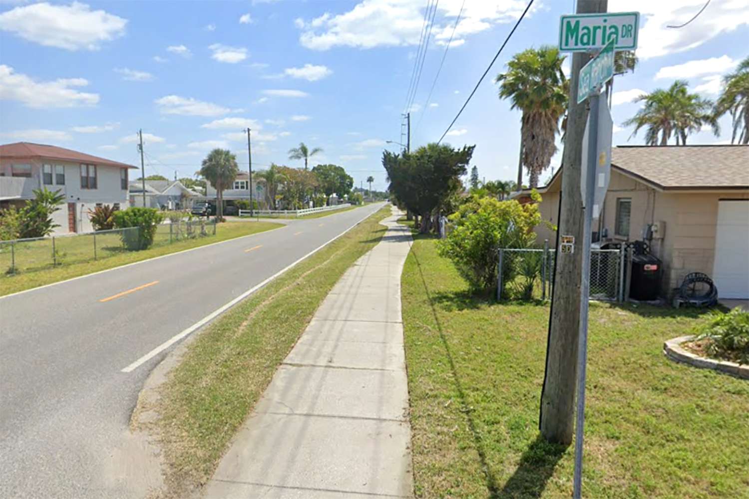 Florida Man Electrocuted and Killed While Trimming Trees [Video]