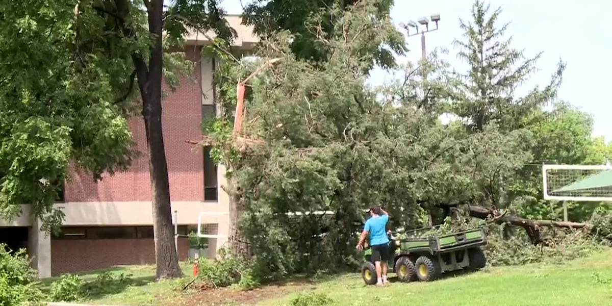 City of Lincoln provides advice on reporting and cleaning up tree debris [Video]