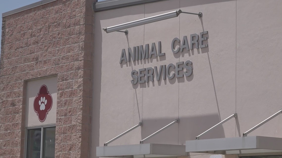 Interim director picked for San Antonio Animal Control Services [Video]