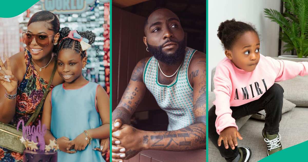 Davido Isnt Fit: Details As Sophia Momodu Mentions Ifeanyis Death, Others in Counter-Affidavit [Video]