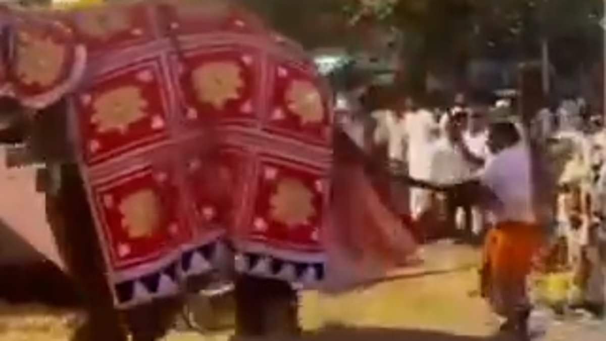 Hindu religious festival descends into chaos after an elephant runs amok, hurting 13 people [Video]