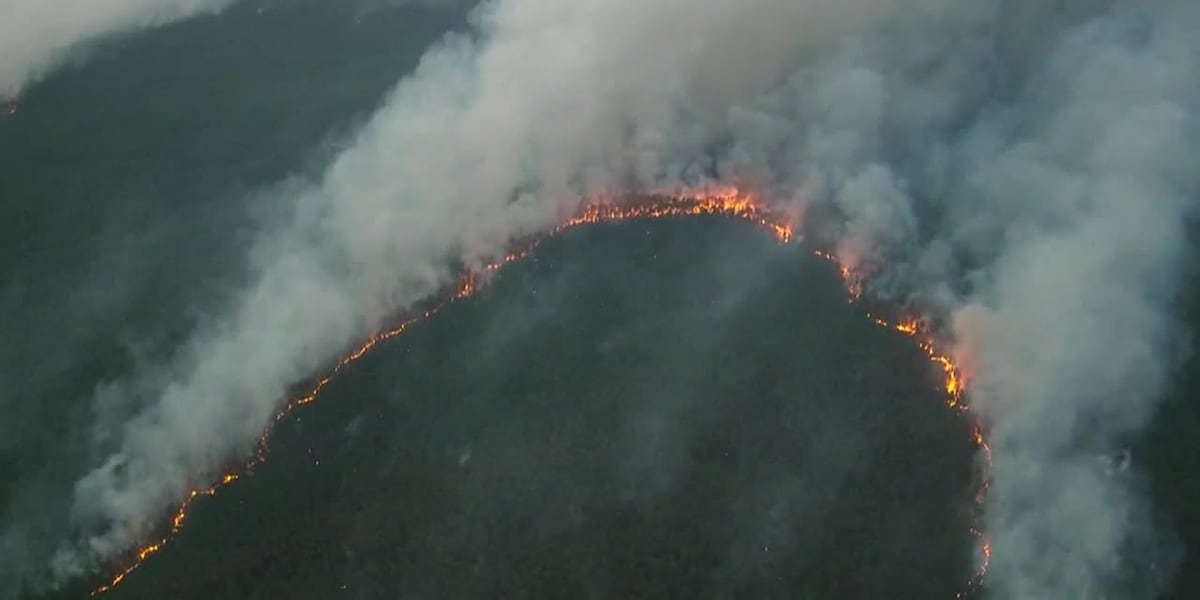 VIDEO: Wharton forest fire in New Jersey [Video]