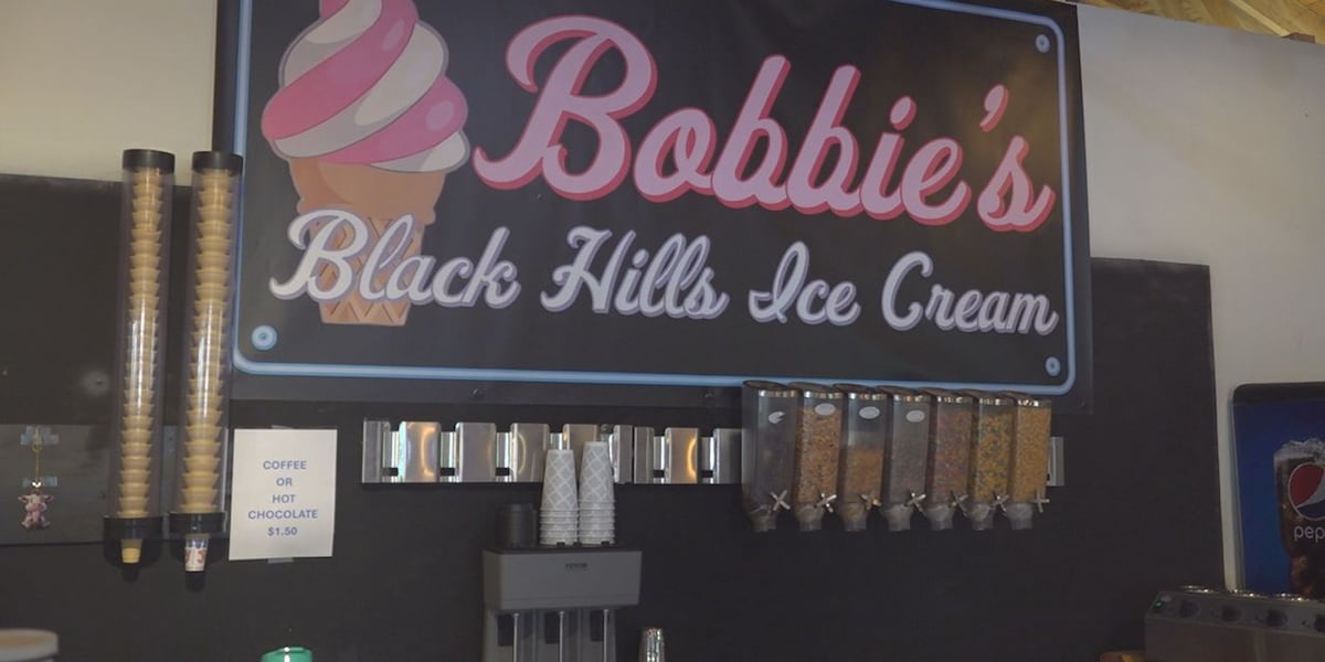 New ice cream shop opens up in Lead [Video]