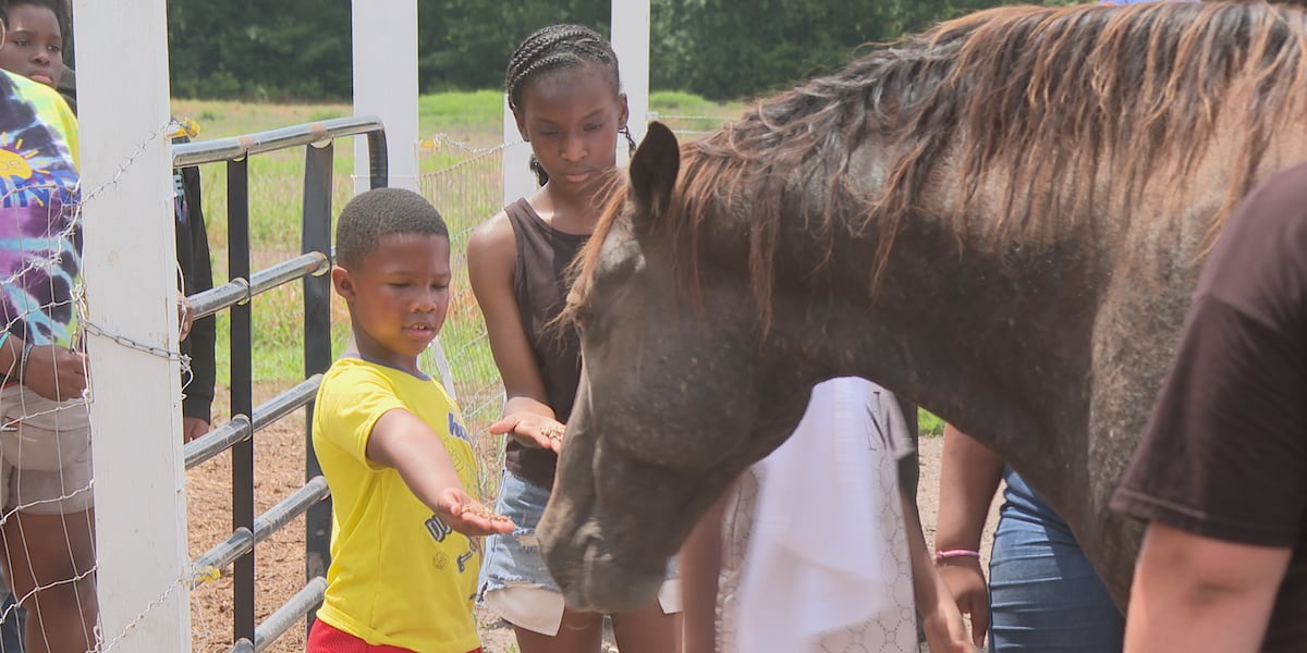 Community Spotlight: Mt. Calvary Center offers free summer camp where kids give back to the community [Video]