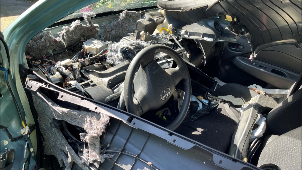 Black bear destroys car’s interior in Coquitlam B.C. [Video]