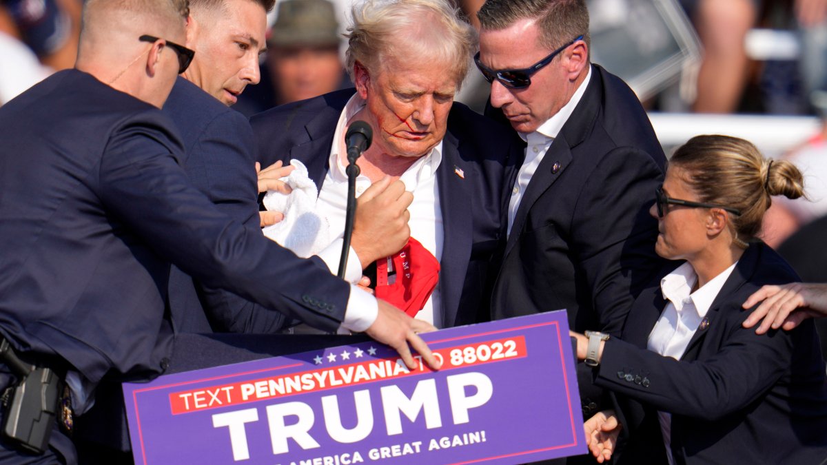 Conspiracy theories to arise amid Trump rally shooting, expert says  NBC Bay Area [Video]