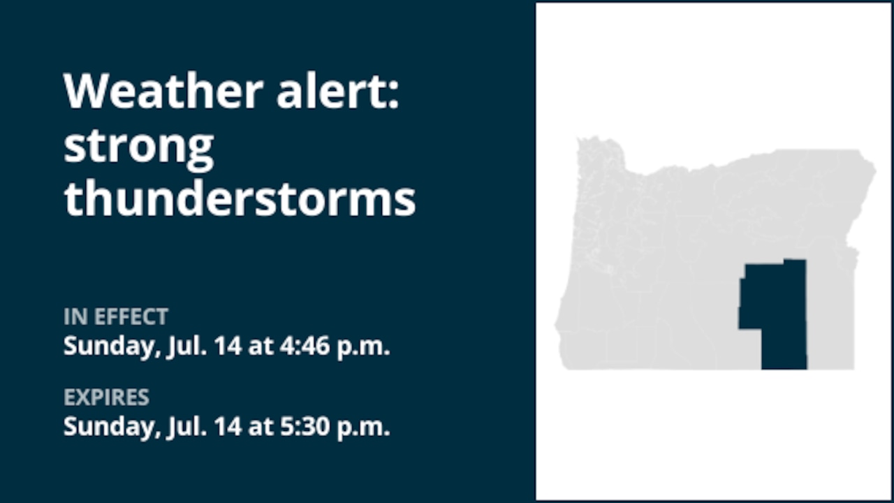 Weather alert for strong thunderstorms in Harney County early Sunday evening [Video]