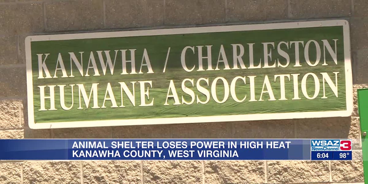 Animal shelter loses power during heat wave [Video]