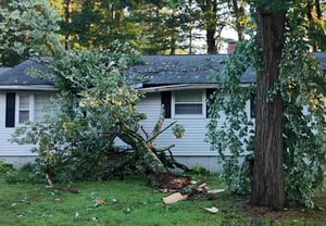 Microburst toppled 150 trees, damaged cars and homes in New Hampshire, NWS says [Video]