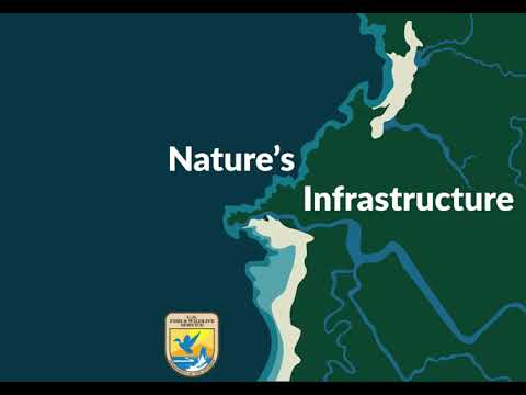 Natures Infrastructure S:1 E5 Gravel to Gravel Keystone Initiative: For People, Salmon and the Land [Video]