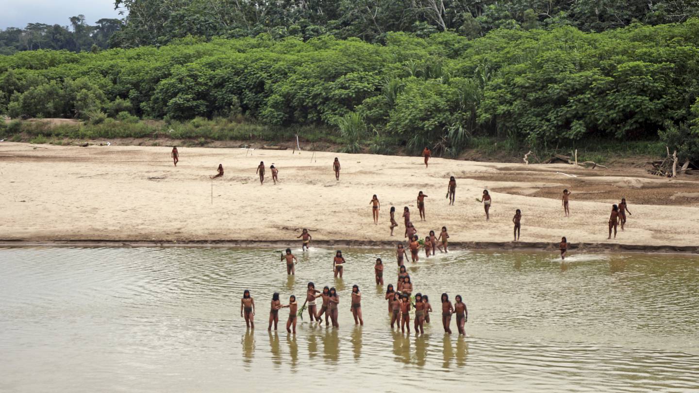 Group says photos of reclusive tribe on Peru beach show logging concessions are ‘dangerously close’  WSOC TV [Video]