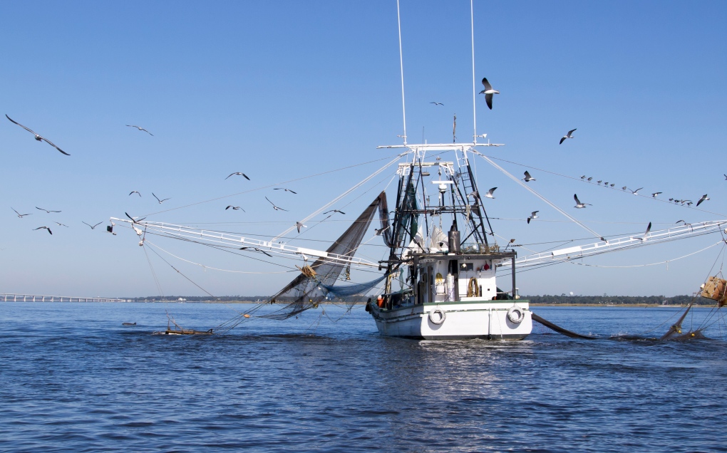 Marine fishing research project hopes to reduce waste [Video]