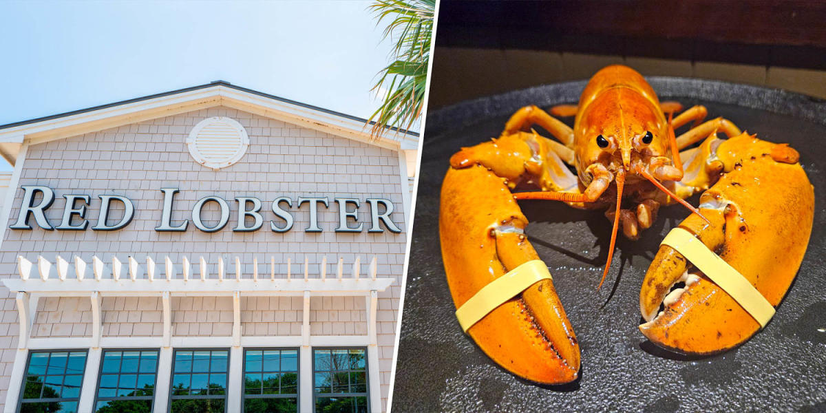 Red Lobster dishwasher rescues one-in-30 million orange lobster [Video]