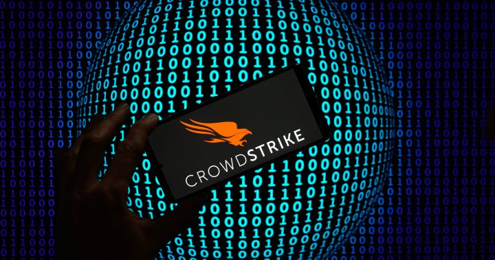 What is CrowdStrike? How a cybersecurity update caused a global tech outage [Video]