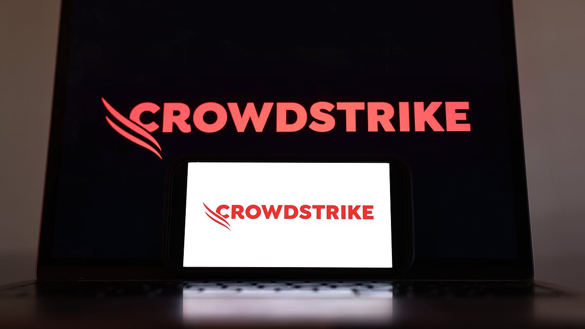 CrowdStrike’s Australian job ad for director of public relations mocked online: ‘Any takers?’ [Video]