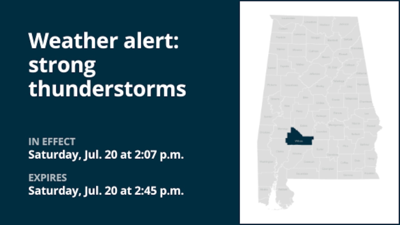 Expect strong thunderstorms in Wilcox County Saturday afternoon [Video]