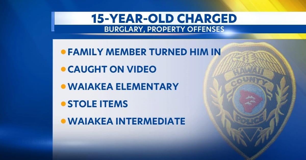 Two Hilo teens arrested for burglary, property crime at two school campuses | Crime & Courts [Video]