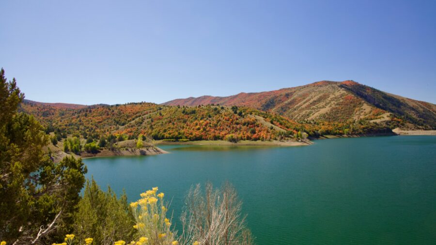 USU football player died in Porcupine Dam cliff diving accident [Video]