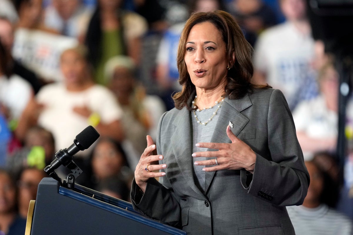 Some Democrat donors reportedly left fuming after Kamala Harris call: A total failure [Video]