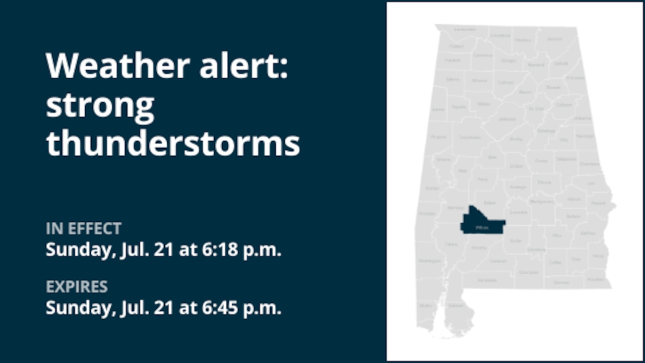 Weather alert issued for strong thunderstorms in Wilcox County Sunday evening [Video]