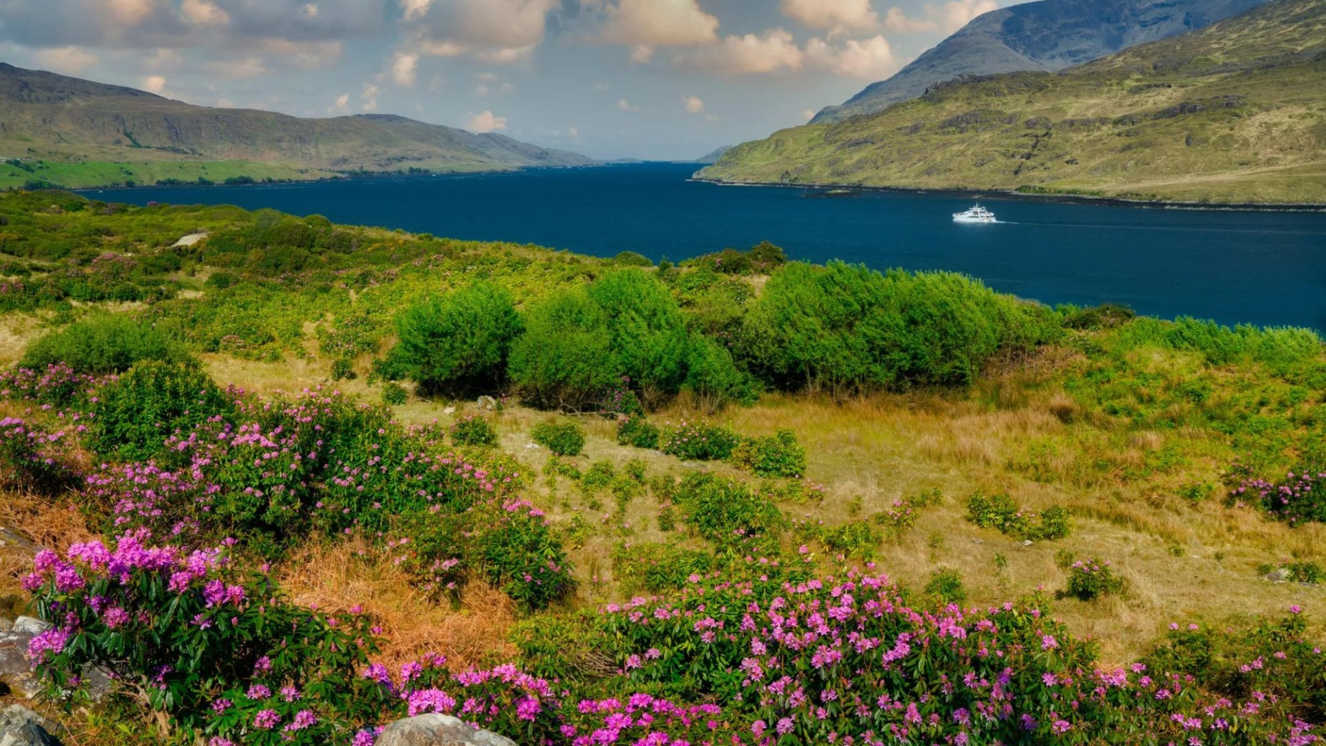 The Irish swim spotwith breathtaking natural beauty’, dolphins & seals – its near Irish pub that starred in movie [Video]