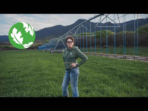 Harvesting Hope: The Farm Bill Grew a Green Future on the Hauser Farm [Video]