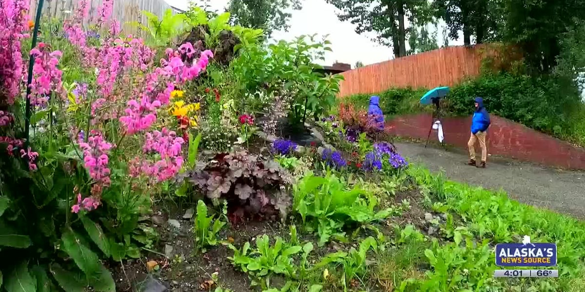 Flower Power! A tiny hill on Turpin Road transformed into a flower tower of colors [Video]