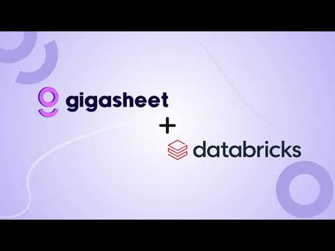 Gigasheet for Databricks Democratizes Data Access for Business Users [Video]