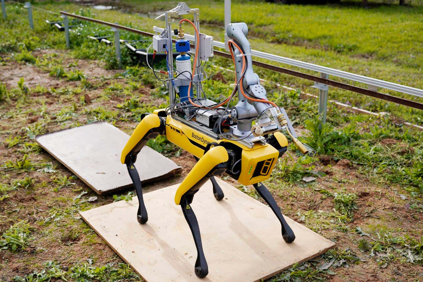 Robot dog can stifle weeds by blasting them with a flamethrower [Video]